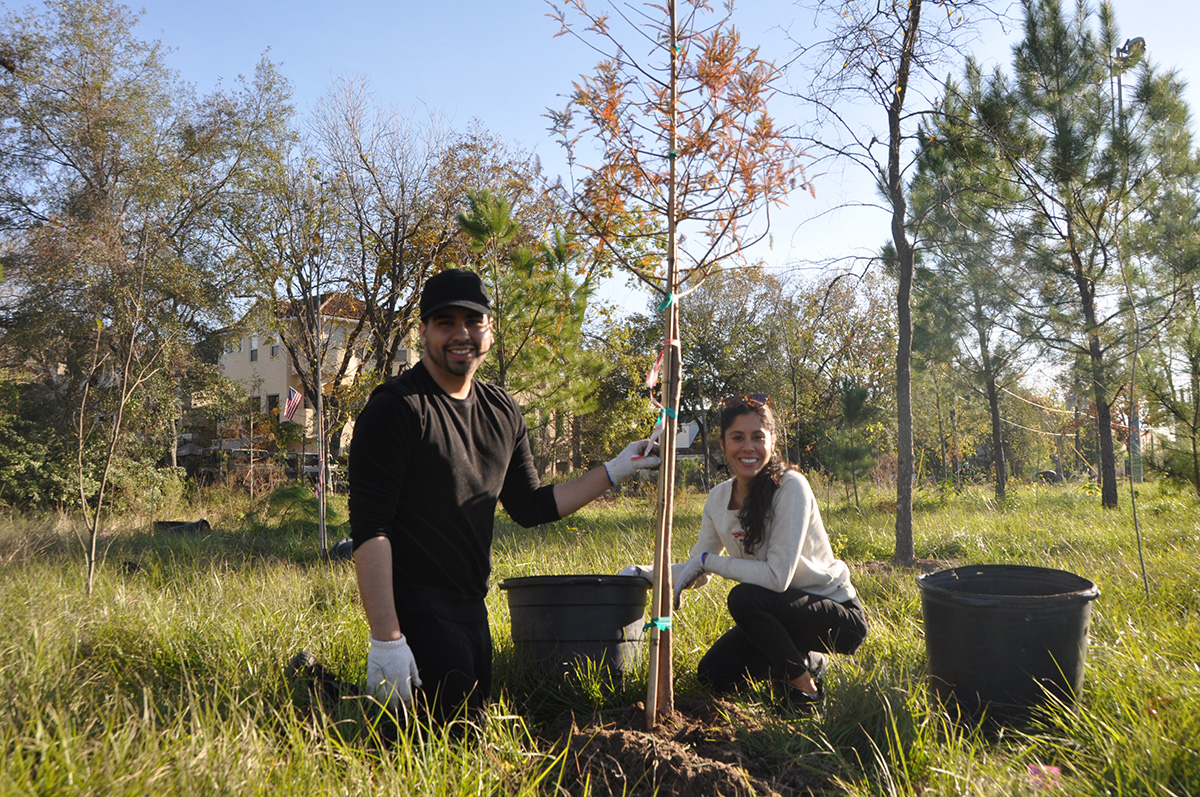 Trees For Houston Wraps Up Planting Season The Katy News