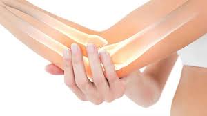 The Bone Density Solution Book Shelly Manning