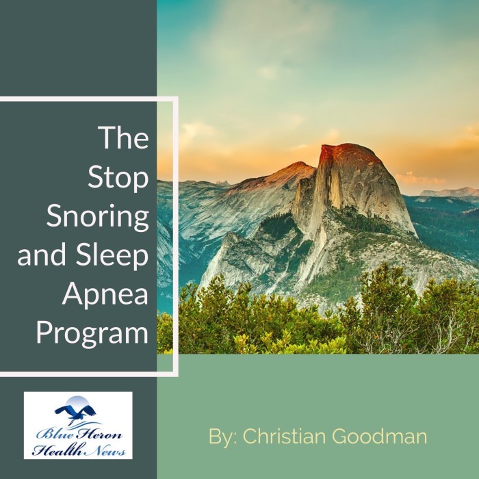 Christian Goodman's The Stop Snoring and Sleep Apnea Program Reviews