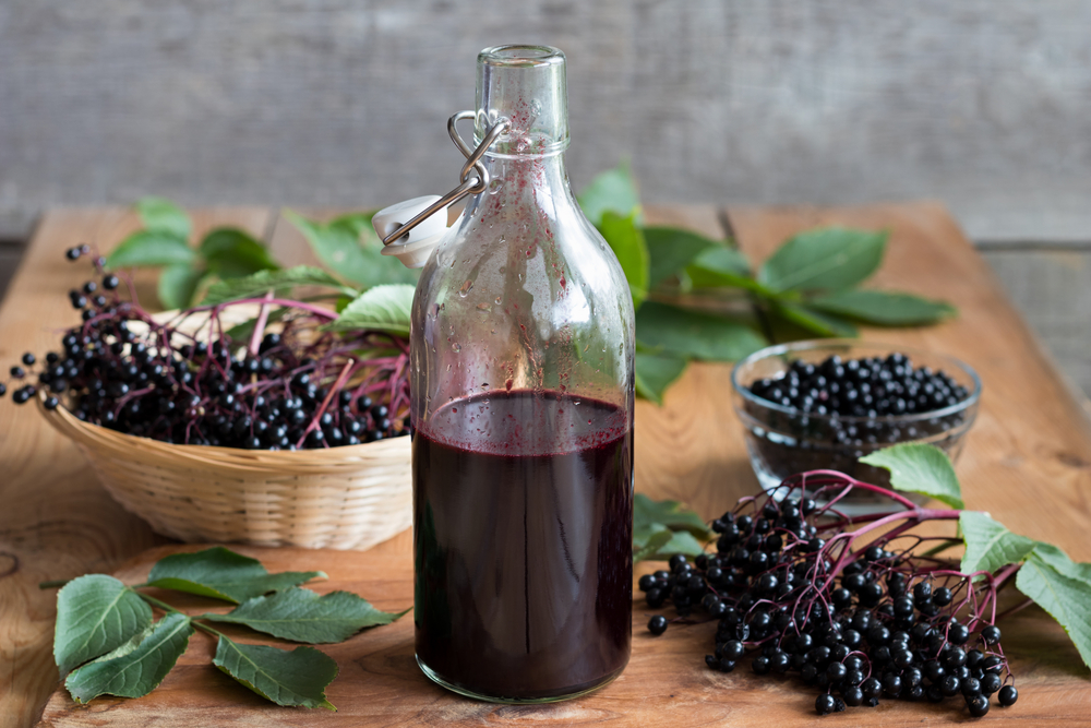 3 Best Black Elderberry Syrup Supplement Brands You Can Buy Online