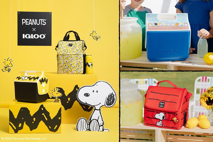 Snoopy And The Peanuts Gang Join Igloo’s AllNew Collection Of Coolers