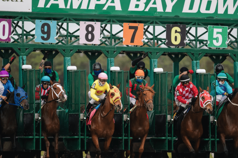 Top 5 Fastest Race Horses In The World | The Katy News | Katy, TX