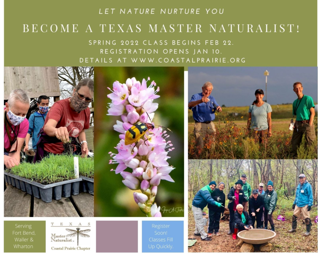 Texas Master Naturalists Offer Spring 2022 Training Class for Fort Bend