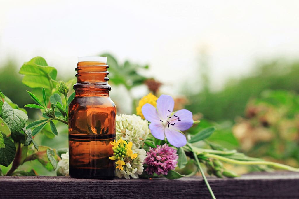 How Can You Start Your Career with a Holistic Medicine Degree?