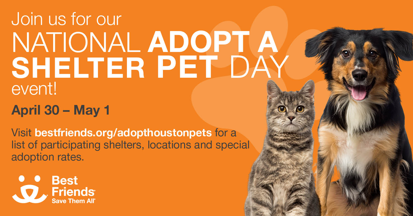 Houston Animal Shelters and Best Friends Animal Society Unite for