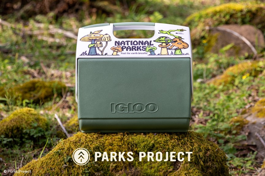 Igloo Grows Its Parks Project with New Mushrooms ECOCOOL® Playmate