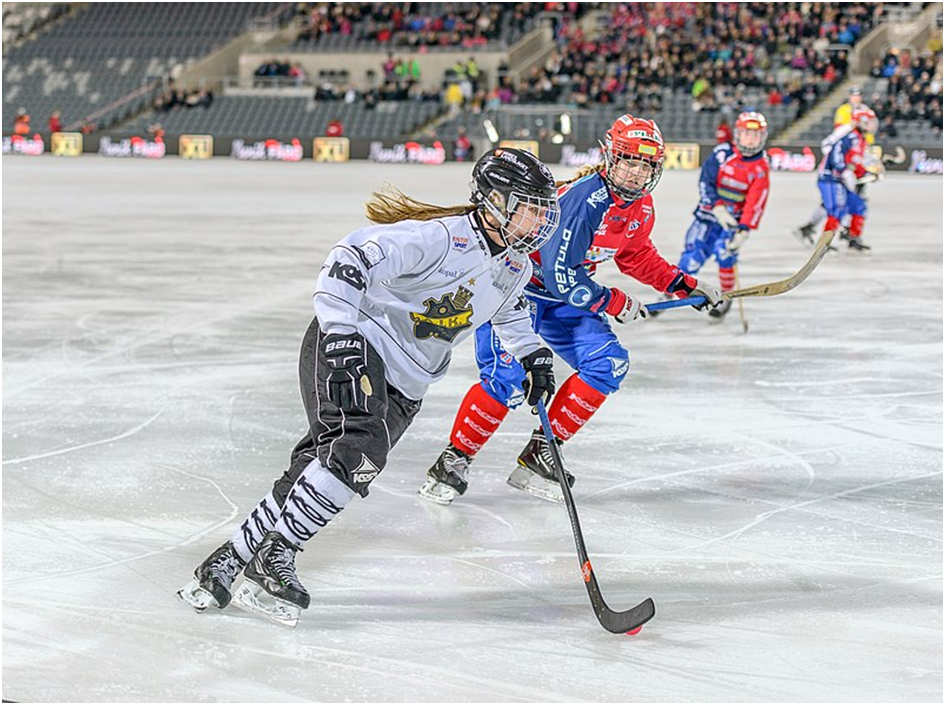 Die besten Sportaktivitäten in New Jersey Sehen und spielen Sie als Familie 1 Ice Hocky