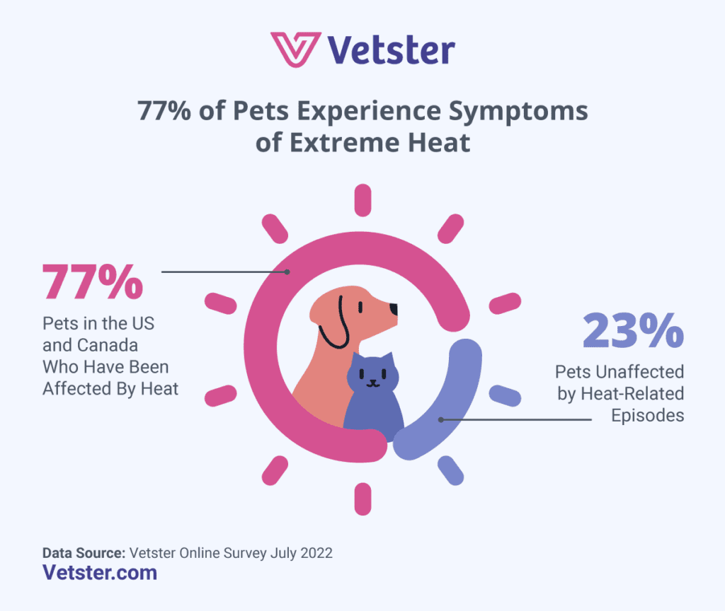 Vetster