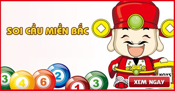 soi cau mien bac