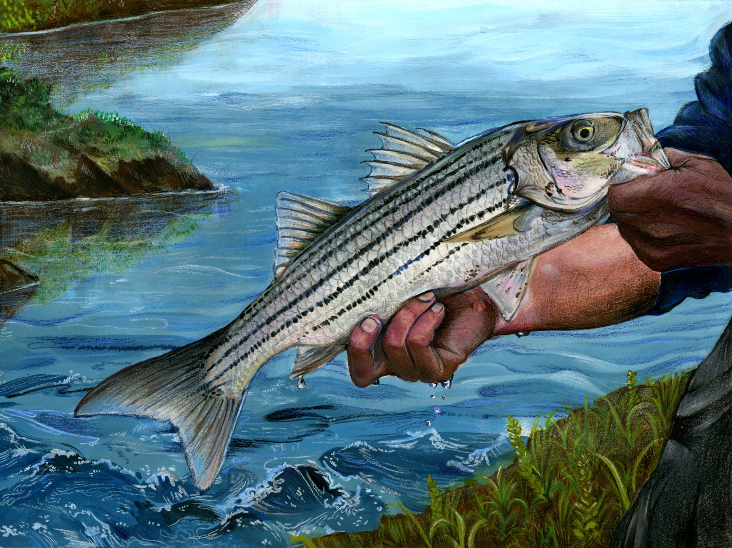 Texas StateFish Art Contest Announces 2023 Winners The Katy News