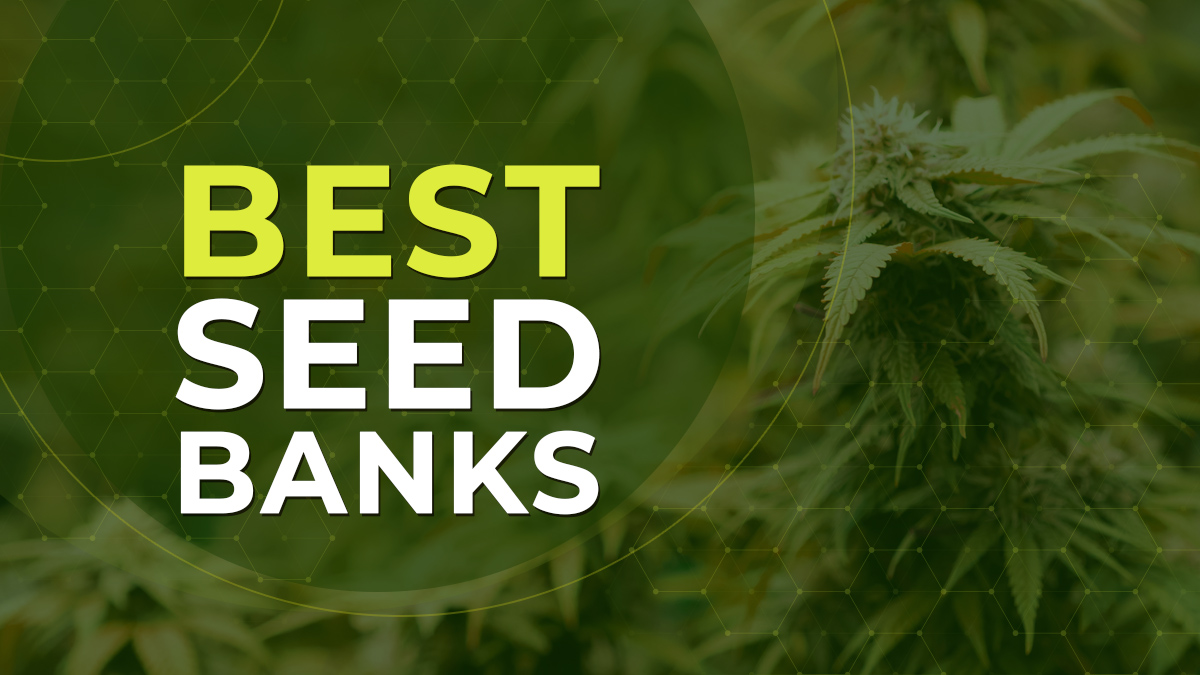 A Greener Path to Health How the Best Seed Banks Can Benefit You The