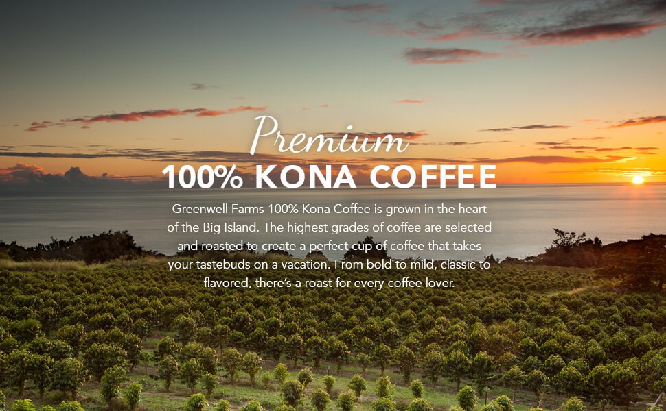 The Best Kona Coffee From Hawaii The Katy News
