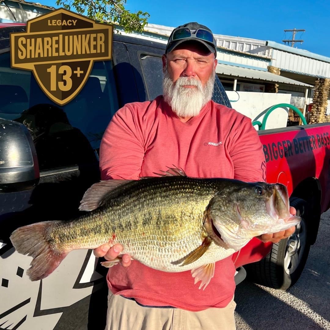 O.H. Ivie Powers Ahead with ShareLunker 669 - The Katy News