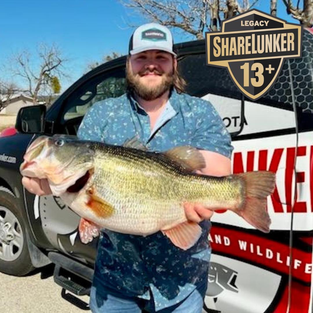 O.H. Ivie Gets its Second Legacy Class ShareLunker of 2025 - The Katy News