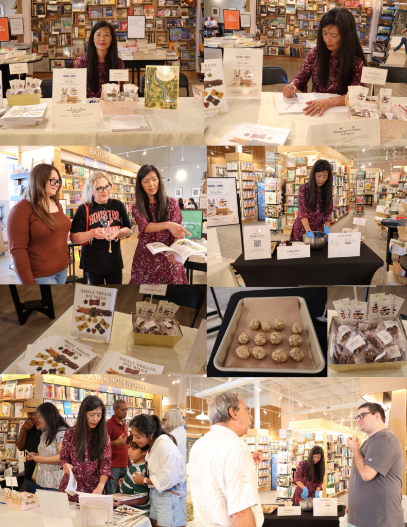 CeCe Blue Ink Book Signing